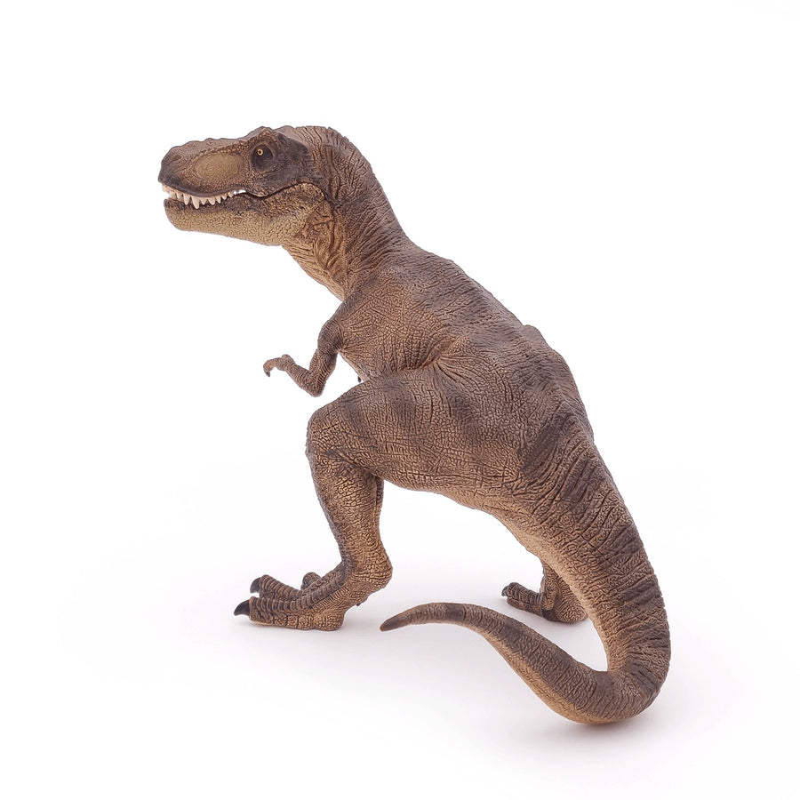 T-Rex Papo en PVC, Collection Dinosaures, jouet éducatif idéal pour enfants et collectionneurs