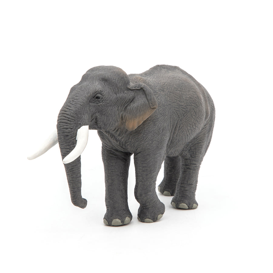 Figurine Éléphant d'Asie Papo en PVC, thème savane, Collection Animaux sauvages, jouet éducatif idéal pour enfants et collectionneurs