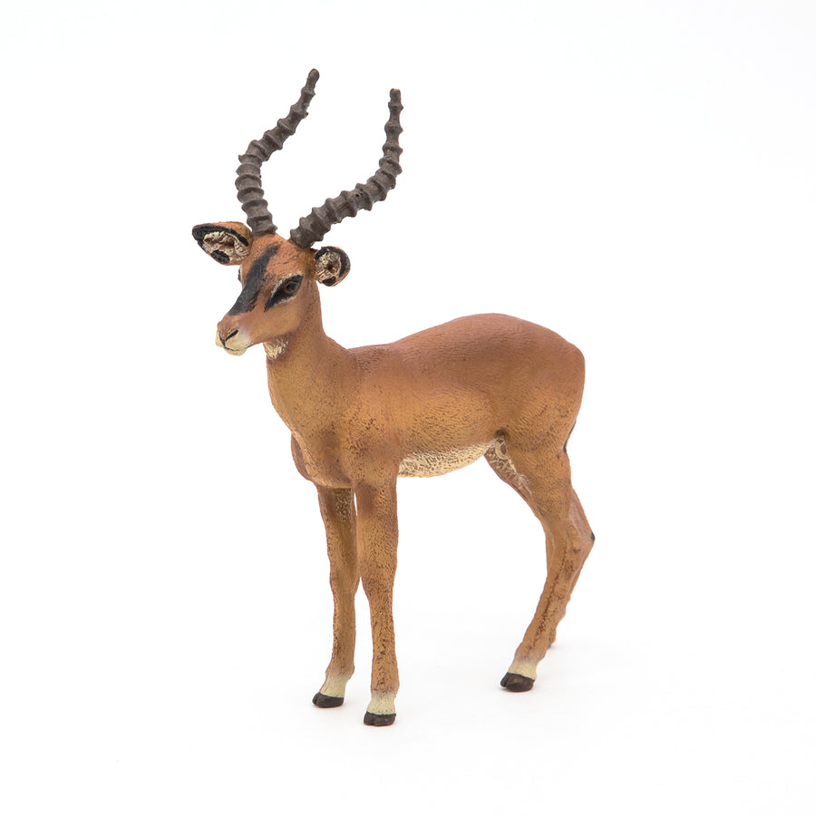 Figurine Impala Papo en PVC, thème savane, Collection Animaux sauvages, jouet éducatif idéal pour enfants et collectionneurs