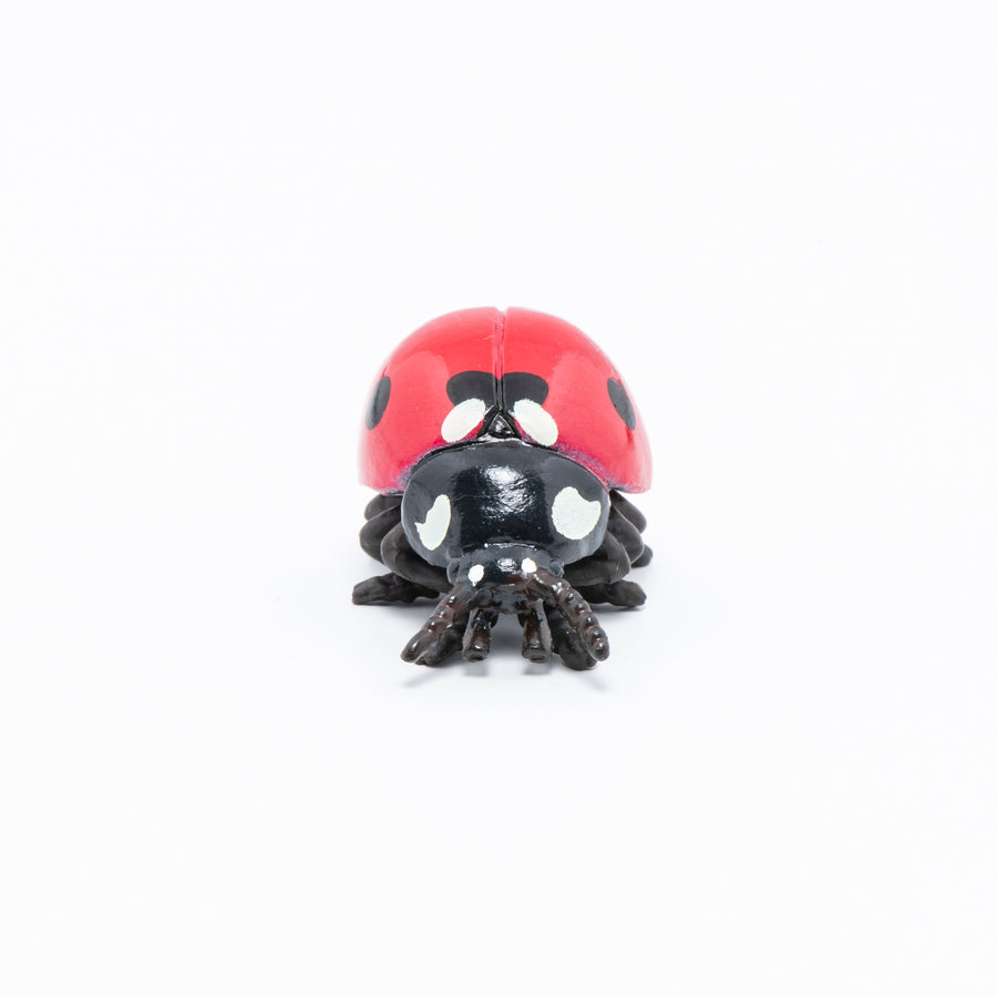 Figurine Coccinelle Papo en PVC, thème insectes, Collection Animaux des jardins, jouet éducatif idéal pour enfants et collectionneurs