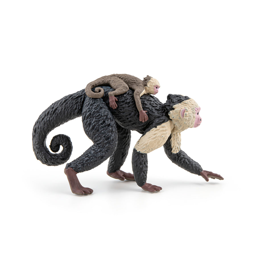 Capucin Papo en PVC, Collection Animaux sauvages, jouet éducatif idéal pour enfants et collectionneurs