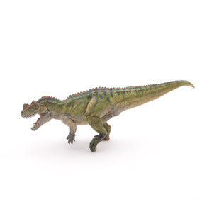 Ceratosaurus Papo en PVC, Collection Dinosaures, jouet éducatif idéal pour enfants et collectionneurs